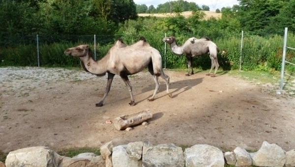 ZOO zahrady v okolí Třeboně